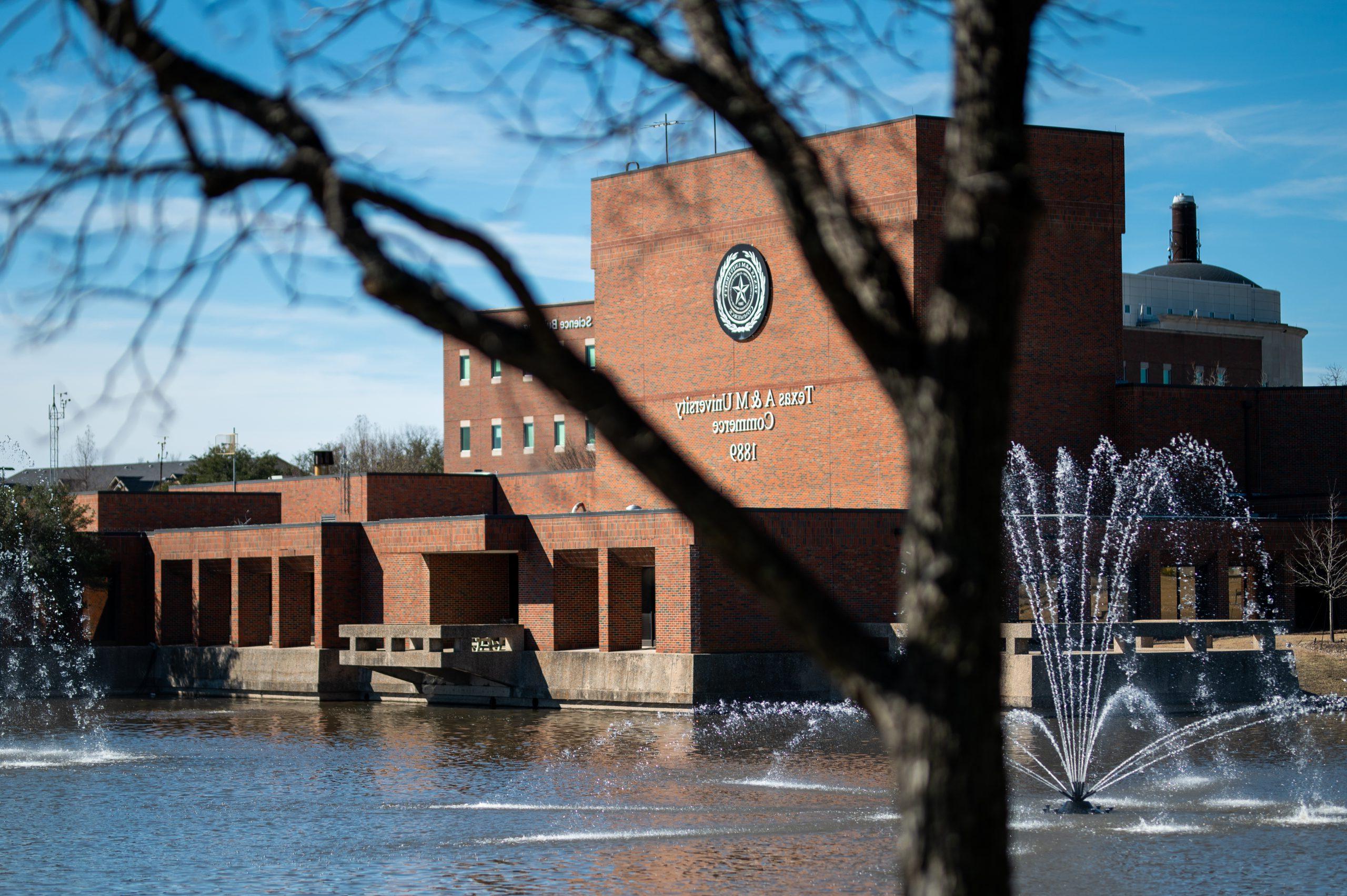 A brick building behind a pond and tree.